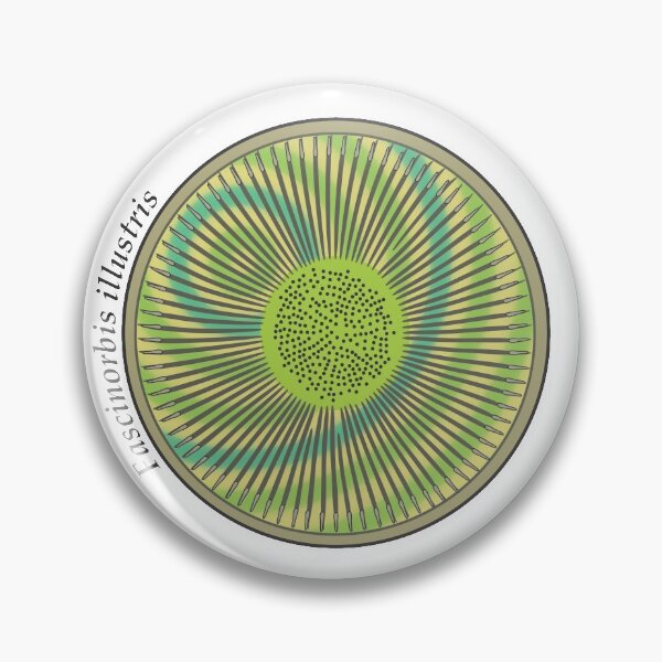 Item preview, Diatom - Fascinorbis illustris (scientific) designed and sold by DiatomsATTACK.