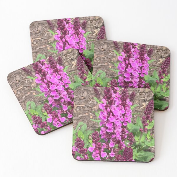 Item preview, Salvia  designed and sold by Ladydi.
