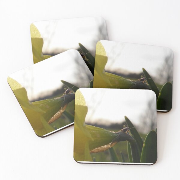 Item preview, Aphid on Daffodil  designed and sold by OliviaDorgan02.