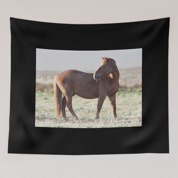 Item preview, The Pose. Horse designed and sold by Jouko Lehto Photography.