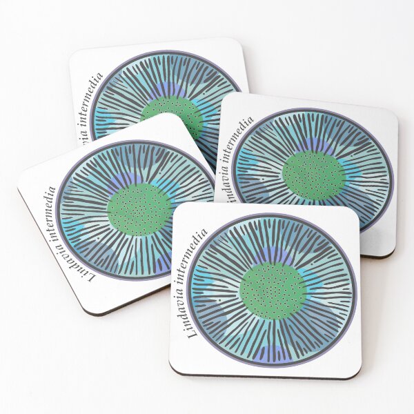 Item preview, Diatom - Lindavia intermedia (scientific) designed and sold by DiatomsATTACK.