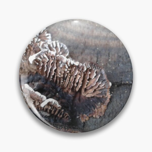 Item preview, Cute mushrooms designed and sold by CSouissi.