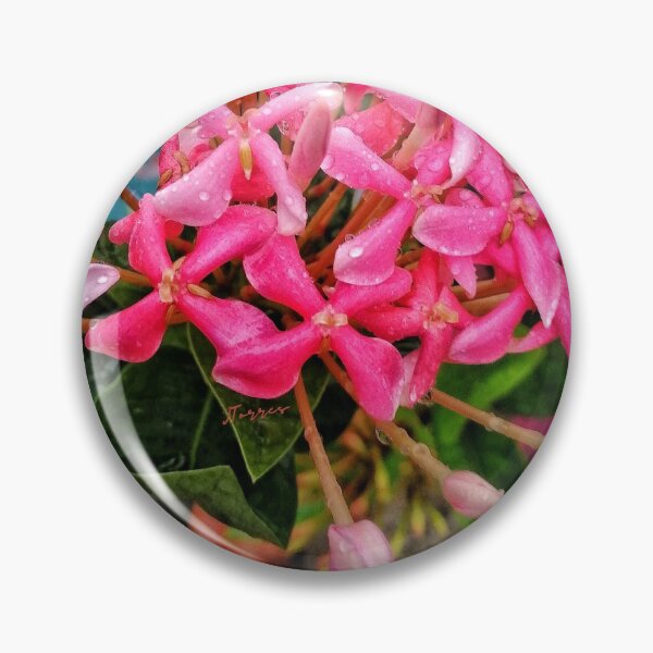 Item preview, Bouquet designed and sold by LibrosBOOKtique.