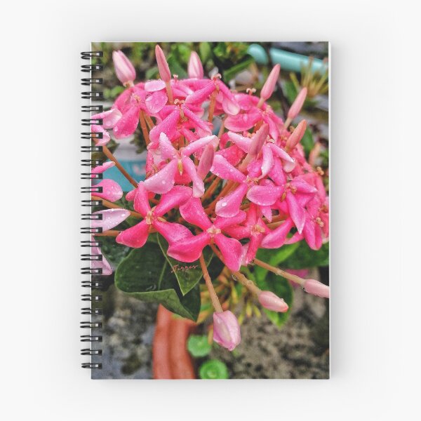 Item preview, Bouquet designed and sold by LibrosBOOKtique.