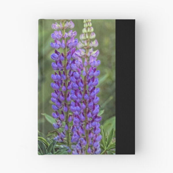 Item preview, Sundial - Wild Maine Lupine designed and sold by T.J. Martin.