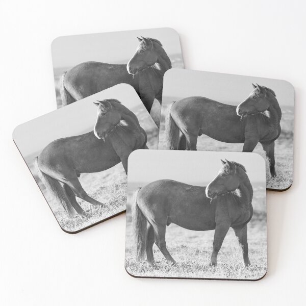 Item preview, The Pose in bw. Horse designed and sold by Jouko Lehto Photography.