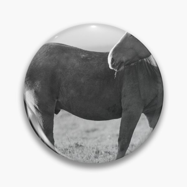 Item preview, The Pose in bw. Horse designed and sold by Jouko Lehto Photography.