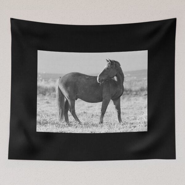 Item preview, The Pose in bw. Horse designed and sold by Jouko Lehto Photography.