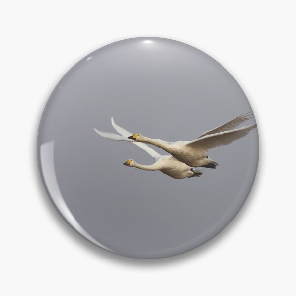 Item preview, They come from the gray sky. Whooper swan designed and sold by Jouko Lehto Photography.