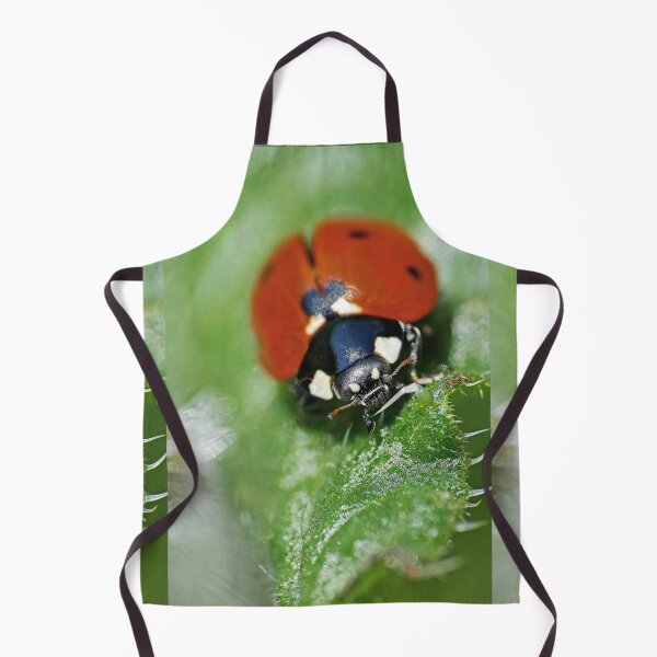 Item preview, the Star :(3) coccinelle-ladybug by Olao-Olavia / Okaio Créations 2015 by fz 1000 400.000 photos framings different picture on request on each support designed and sold by o.okaïo.