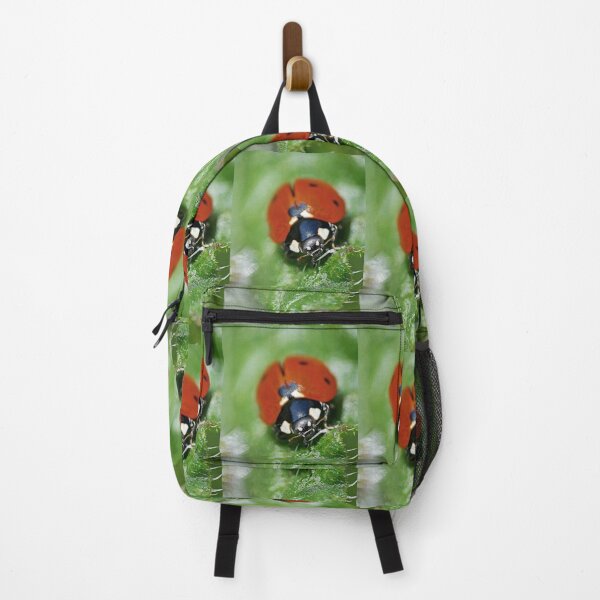 Item preview, the Star :(3) coccinelle-ladybug by Olao-Olavia / Okaio Créations 2015 by fz 1000  400.000 photos  framings different picture on request on each support designed and sold by o.okaïo.
