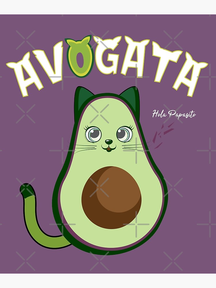 Hola Papasito Avogata Cat Avogato Cat Cute And Funny Avocado Kitty