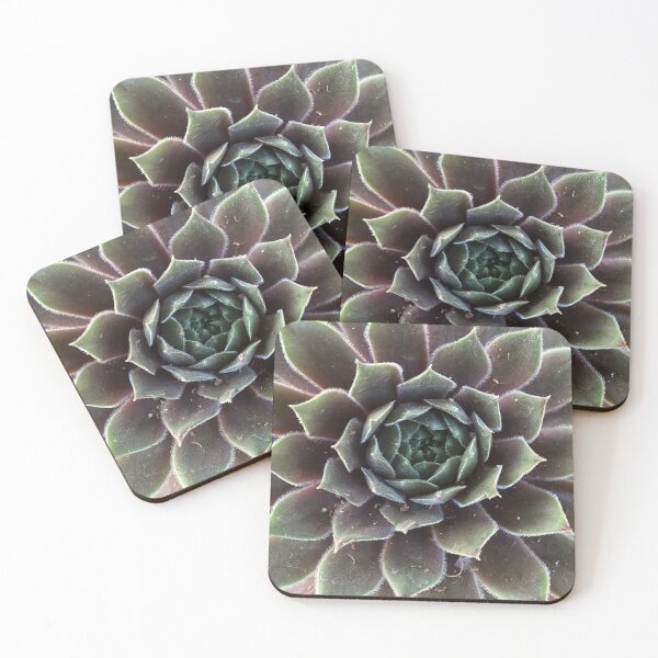 Item preview, Sempervivum from A Gardener's Notebook designed and sold by Douglas E. Welch Design and Photography.