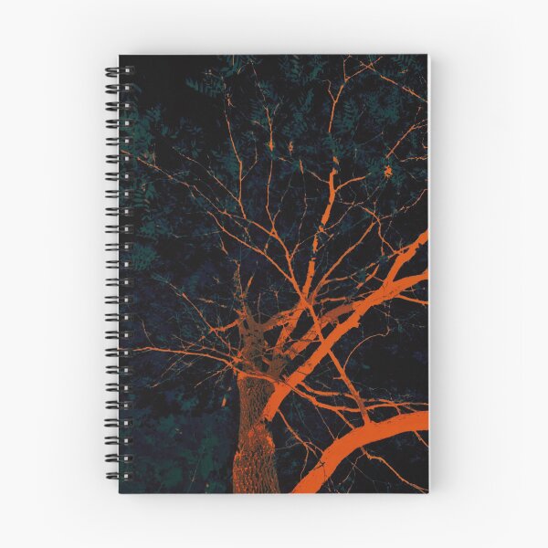 Aperçu de l'œuvre Photographie d'arbre de nuit, image modifiée, arbre effrayant, tons noirs orange et vert foncé, photographie d'arbre créée et vendue par Gulnaz Turdalieva.