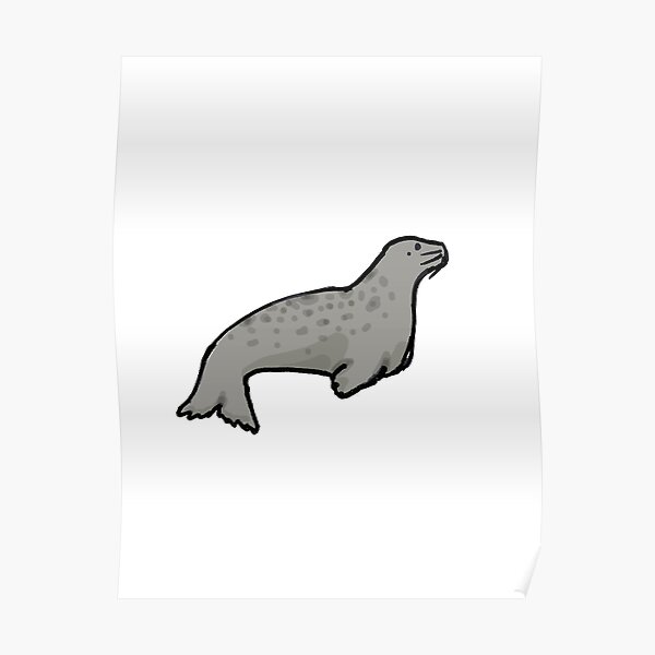 Gray Seal Poster