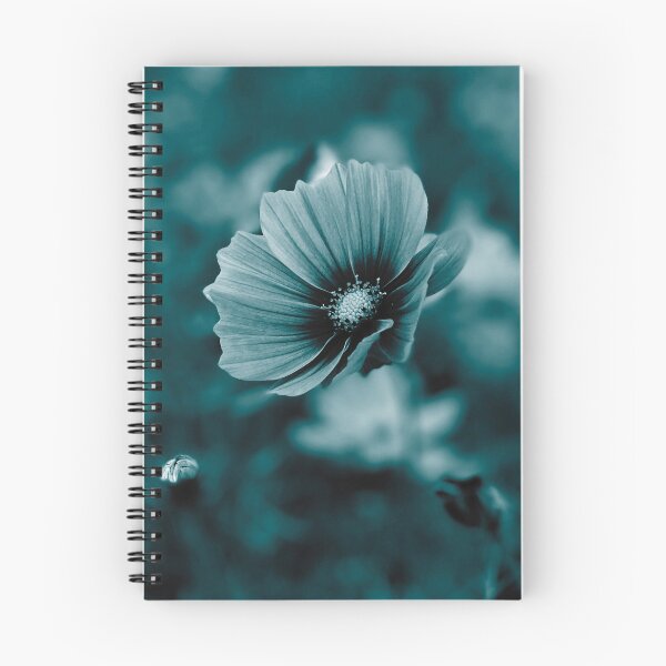 Item preview, Fotografía de la flor del cosmos en cian oscuro, tono azul ártico designed and sold by Gulnaz Turdalieva.