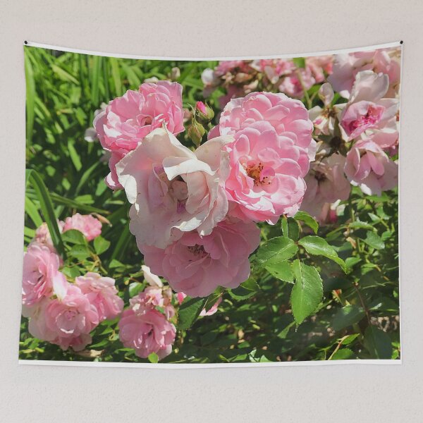 Item preview, Rosa Open Arms/Romance Pink Rose designed and sold by Nockaburn.
