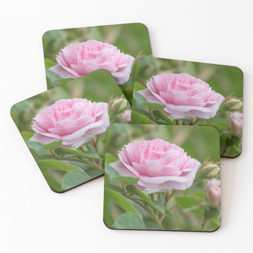Item preview, Coasters (Set of 4) designed and sold by EngineerGoC.