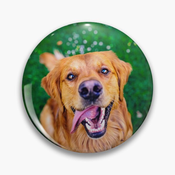 Item preview, Charlie The Gold designed and sold by PurpleBluesPets.