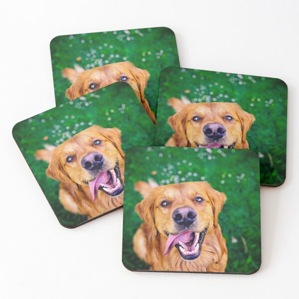 Item preview, Charlie The Gold designed and sold by PurpleBluesPets.