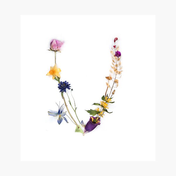 Flora & Fauna Letter "V" Photographic Print