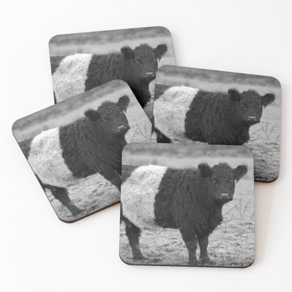 Item preview, Belted Galloway Cow Black and White designed and sold by derekbeattie.