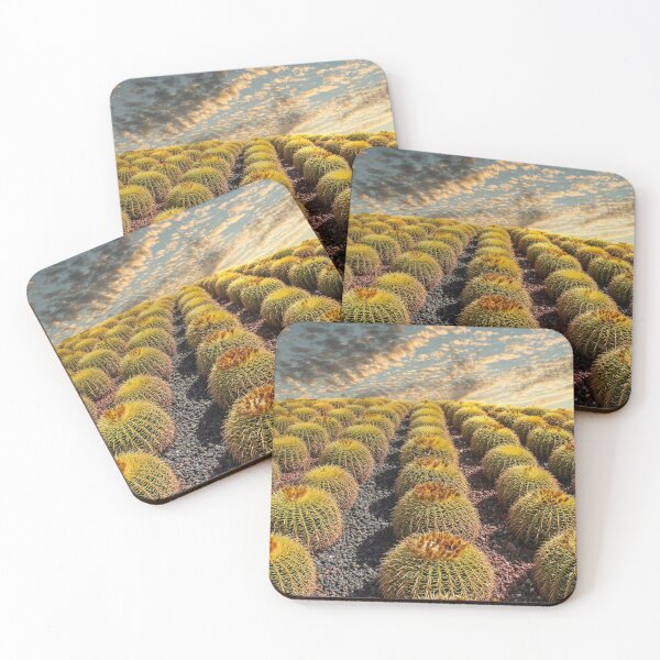 Item preview, Rows of cactus in garden designed and sold by dbvirago.