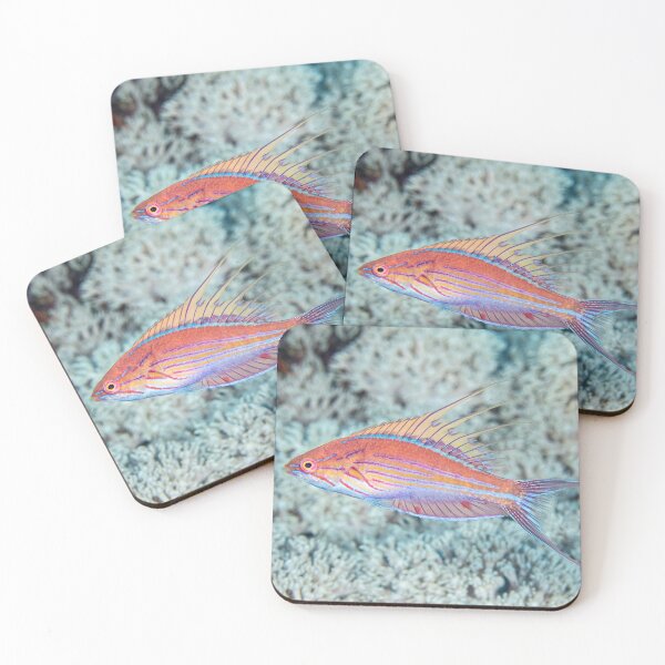 Item preview, Flasher Wrasse designed and sold by Mark Rosenstein.