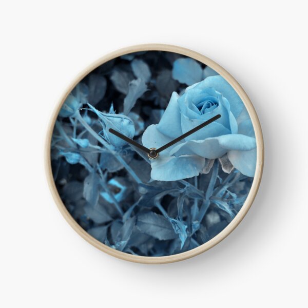 Winter Blue Rose With grey frost tones Flower Photography Clock