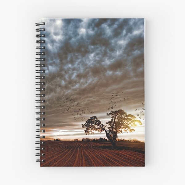 Item preview, Weather designed and sold by liftdesign.
