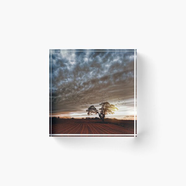 Item preview, Weather designed and sold by liftdesign.