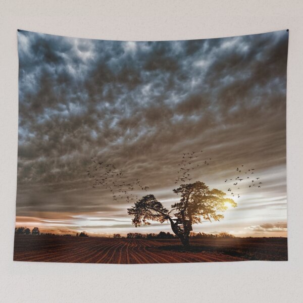 Item preview, Weather designed and sold by liftdesign.