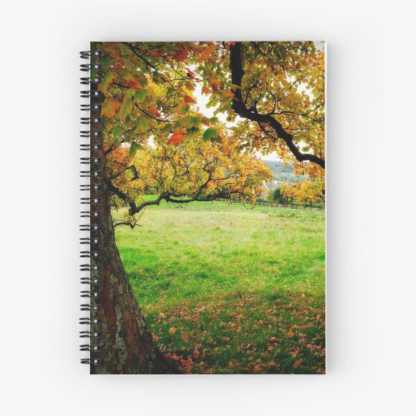 Item preview, Changing Seasons designed and sold by ScenicViewPics.