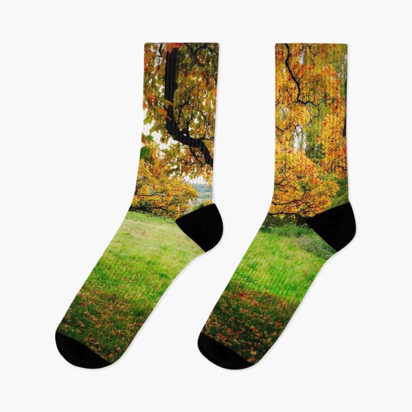 Item preview, Changing Seasons designed and sold by ScenicViewPics.