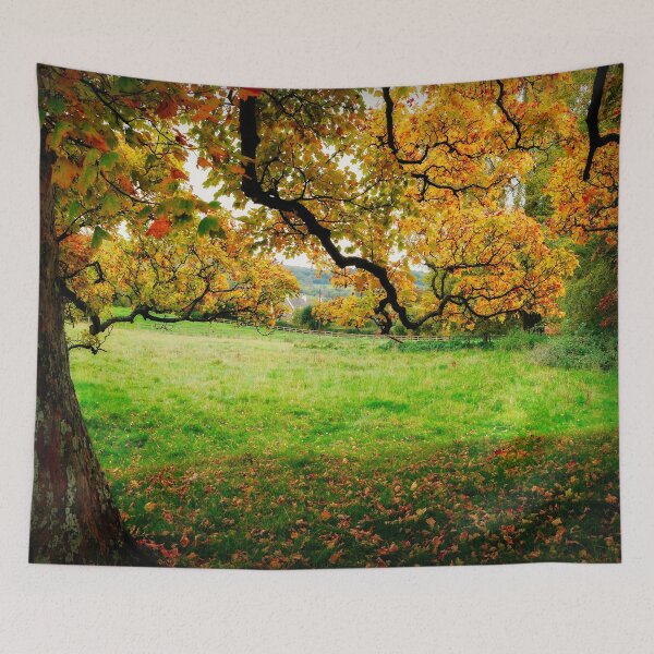 Item preview, Changing Seasons designed and sold by ScenicViewPics.