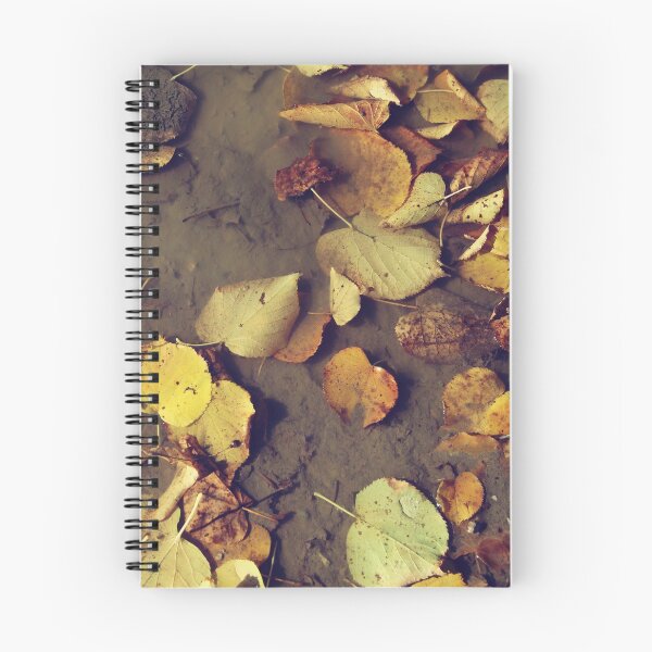 Item preview, Autumn leaves in a puddle - photography designed and sold by greatnorris.