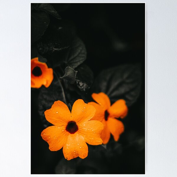 Item preview, Orange Bloom designed and sold by StoneAndBear.