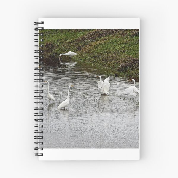 Item preview, The Egrets Of Coquille, Oregon designed and sold by Diane Arndt.