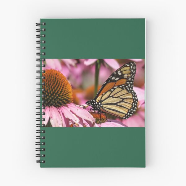 Item preview, butterfly on cornflowers  designed and sold by Phyllis Koppel.