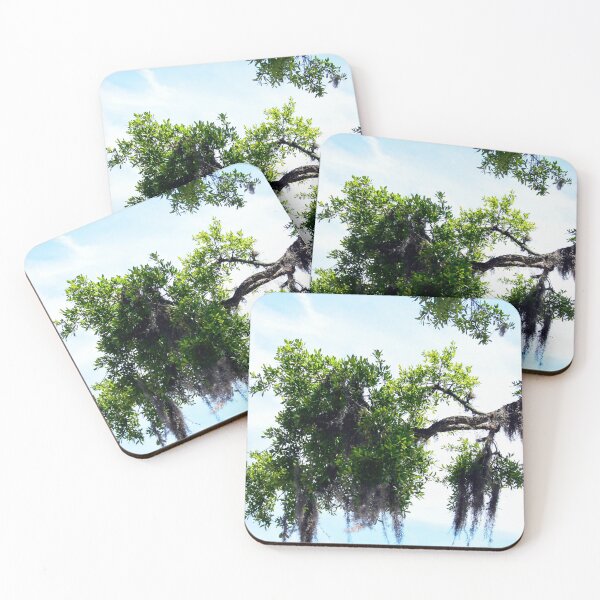 Item preview, Trees, Spanish Moss & Florida Sky  designed and sold by heatherfriedman.