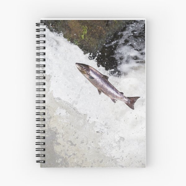 Item preview, The Scottish Atlantic Salmon designed and sold by chanonry.