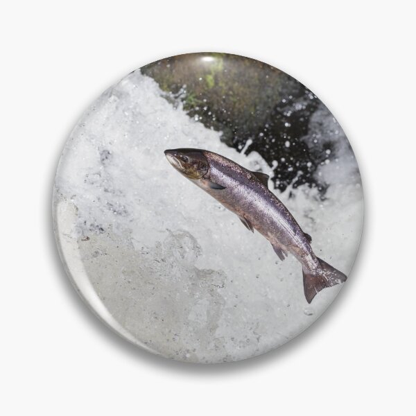Item preview, Copy of The Scottish Atlantic Salmon designed and sold by chanonry.