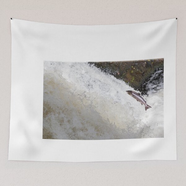 Item preview, Copy of The Scottish Atlantic Salmon designed and sold by chanonry.