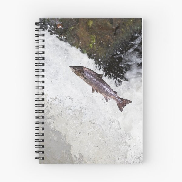 Item preview, Copy of Copy of The Scottish Atlantic Salmon designed and sold by chanonry.
