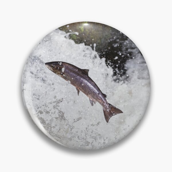 Item preview, Copy of The Scottish Atlantic Salmon designed and sold by chanonry.