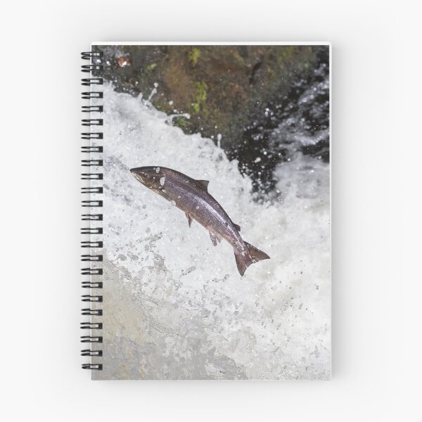 Item preview, Copy of The Scottish Atlantic Salmon designed and sold by chanonry.