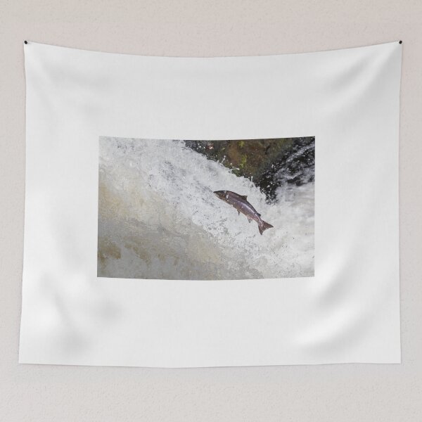 Item preview, Copy of The Scottish Atlantic Salmon designed and sold by chanonry.