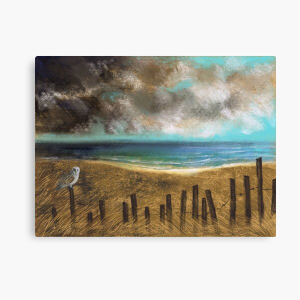 Barn Owl on a Fence by the Sea Canvas Print