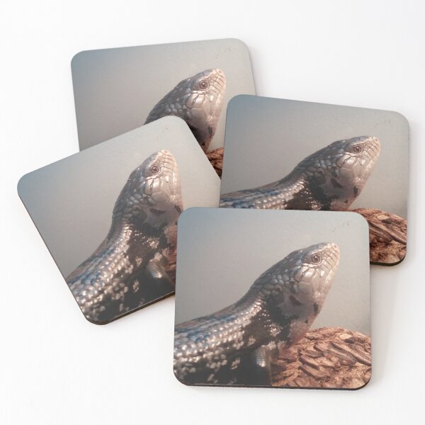 Item preview, Indonesian Blue Tongue Slink designed and sold by NathanMoore92.
