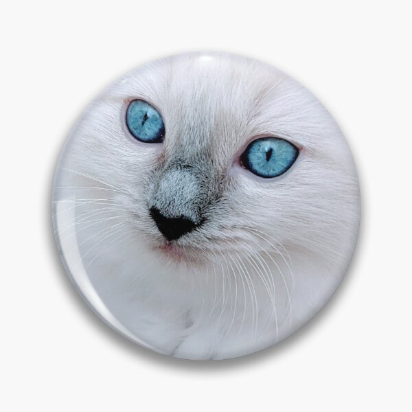 Item preview, Gatito Ragdoll designed and sold by Fluffycat2020.